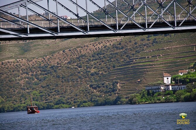 1-Hour Rabelo Boat Trip in Pinhão - Rabelo boats on the Douro: what the ride really feels like