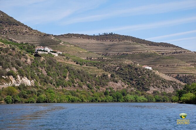 1-Hour Rabelo Boat Trip in Pinhão - Roncão turnaround: making the river route feel like two different views