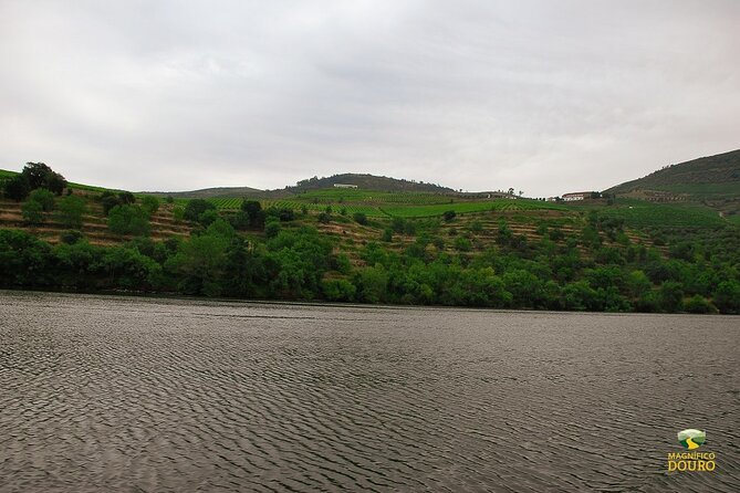 1-Hour Rabelo Boat Trip in Pinhão - Price and value: is about $18 for an hour worth it?