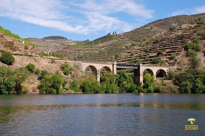 2-hour Rabelo Boat tour in Pinhão - Entering the Douro from Pinhão, The Rabelo Way