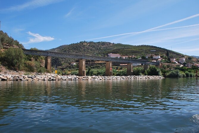 2-hour Rabelo Boat tour in Pinhão - Stop on the Douro River: What You’re Actually Seeing