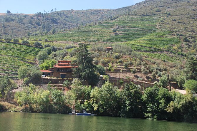 2-hour Rabelo Boat tour in Pinhão - Who Should Book This Rabelo Boat Tour, and Who Might Not
