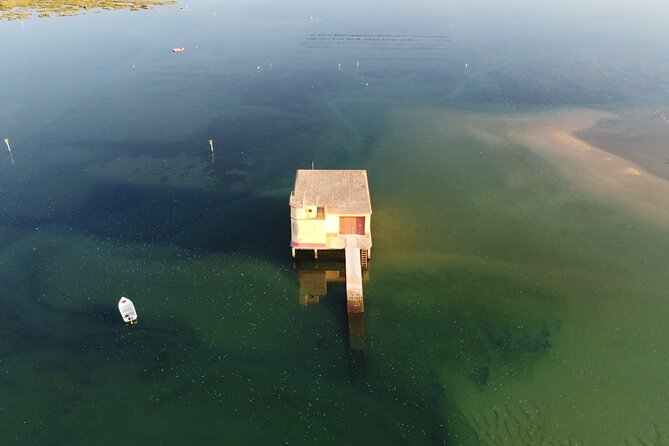 2 Hours Boat Tour in Ria Formosa - Wildlife Expectations: When This Tour Feels Great vs. Frustrating