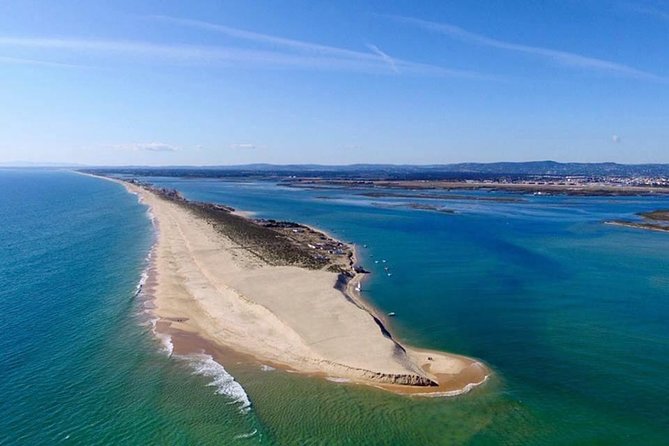 2 Stop | 2 Islands & Ria Formosa Natural Park - From Faro - What you’ll see on the channel crossing: birds, shellfish, and tide clues