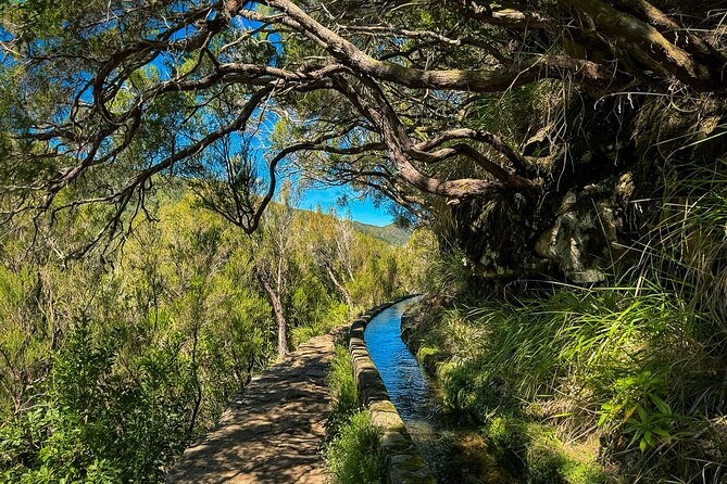 25 Fountains Levada: Hiking Tour in Madeira Rabaçal Valley (PR6) - Pickup and Full-Day Timing: What 8:30am Really Means for You