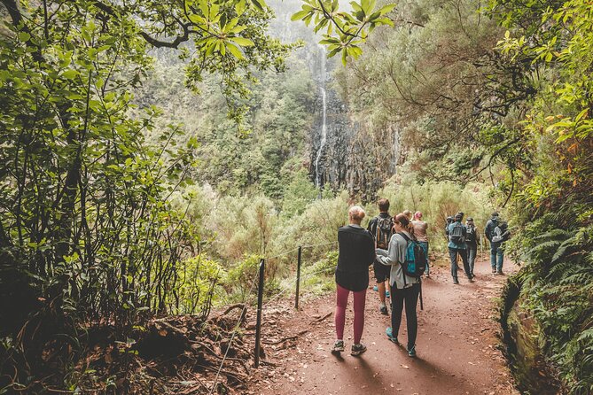 25 Fountains Levada: Hiking Tour in Madeira Rabaçal Valley (PR6) - Value at $52.87: What’s Included, What Costs Extra, and What to Bring