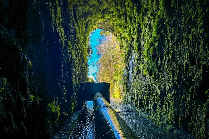 25 Fountains Levada: Hiking Tour in Madeira Rabaçal Valley (PR6) - Should You Book the 25 Fountains Levada (PR6) With Madeira Adventure Kingdom?