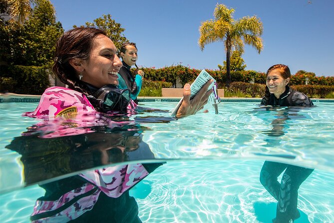 3 days Open Water Course | Scuba Diving - Key Highlights at Azul Madeira in Funchal