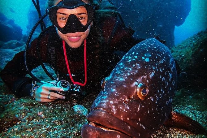 3 days Open Water Course | Scuba Diving - A Real Beginner Goal: SSI Open Water in Madeira