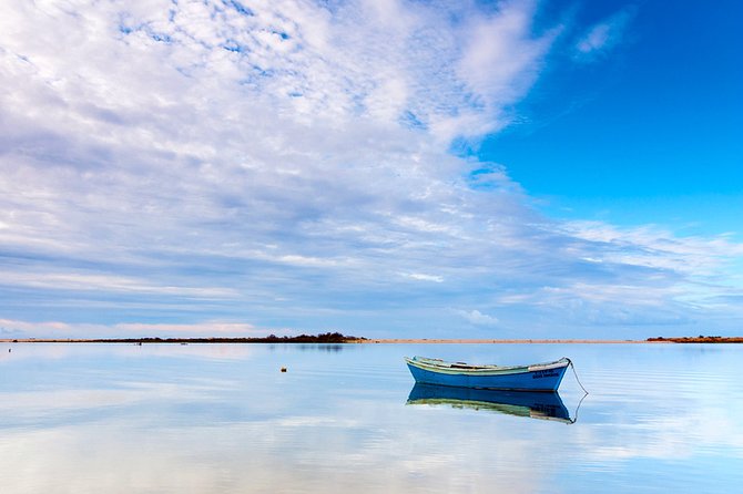 3-Hour Boat Tour in Ria Formosa on Olhão Algarve - Group Size, English, and the Role of Skippers Like João and Ricardo