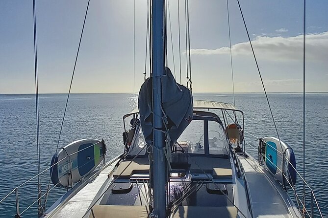 3 Hour Boat Trip to Ponta da Piedade - Key things to know before you go