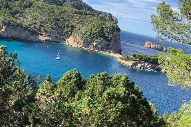 3 Hour Boat Trip to Ponta da Piedade - Who this tour fits best in your travel plans