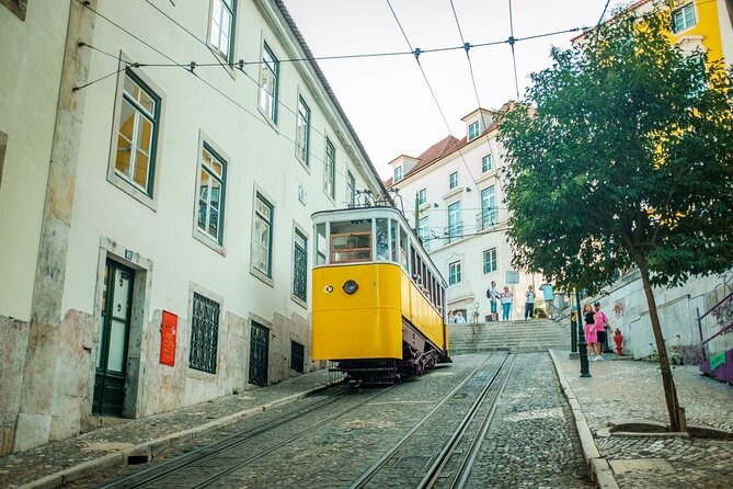 3-Hour Private Guided Walking Tour of Lisbon - Miradouro chao do Loureiro to Alfama viewpoints, one after another
