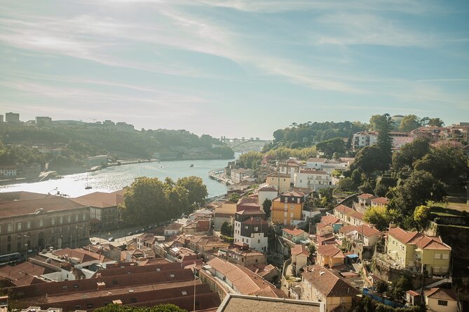 3-hour private guided walking tour of the BEST of Porto - Avenida dos Aliados: finishing in a street that feels like a hub