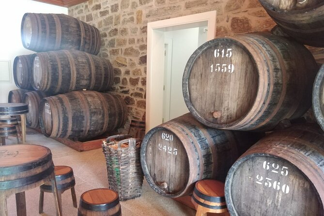 3-Hour Tour to Discover Pinhão - Moment of Discovery - Key points before you go