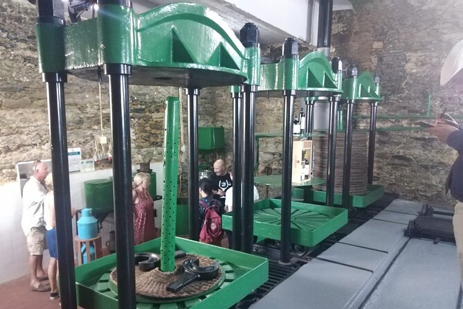 3-Hour Tour to Discover Pinhão - Moment of Discovery - Quinta time in Pinhão: wine tastings that teach without lecturing