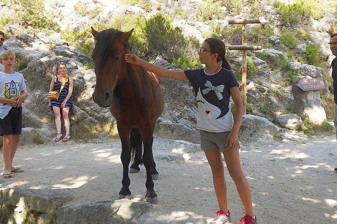 3 Wonderful Waterfalls in a Day - Pincaes Cascate: Forest Trail and the Falls You Have to Find