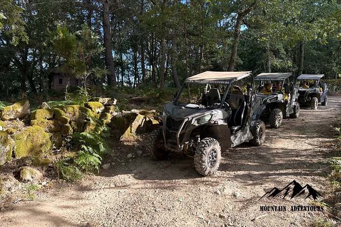 30 minutes Buggy Ride - Key things to know before you turn the wheels
