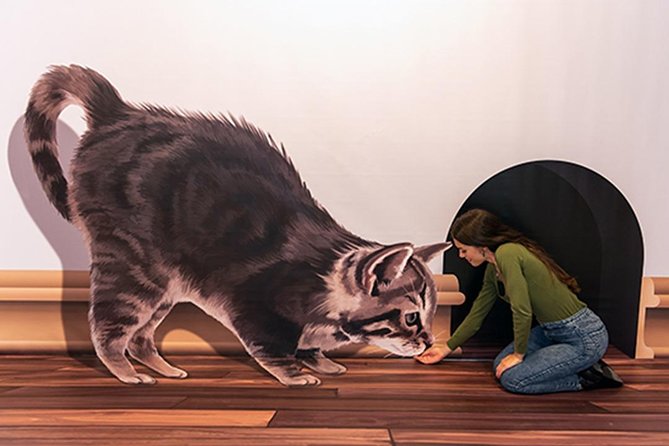 3D Fun Art Museum Funchal - Van Gogh, Safari, Dinosaurs, and the Upside-Down World