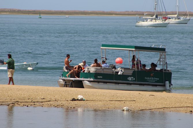 4 Stops | 3 Islands & Ria Formosa Natural Park - From Faro - Lunch on Culatra and snack time: how to get the best meal value