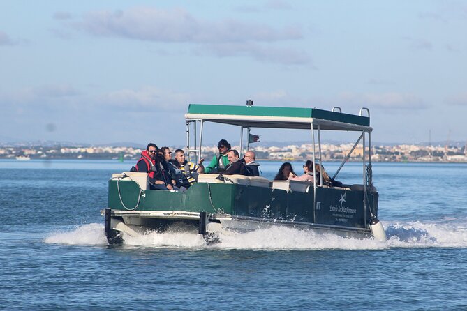 4 Stops | 3 Islands & Ria Formosa Natural Park - From Faro - Birdwatching and wildlife chances: what to watch for and how