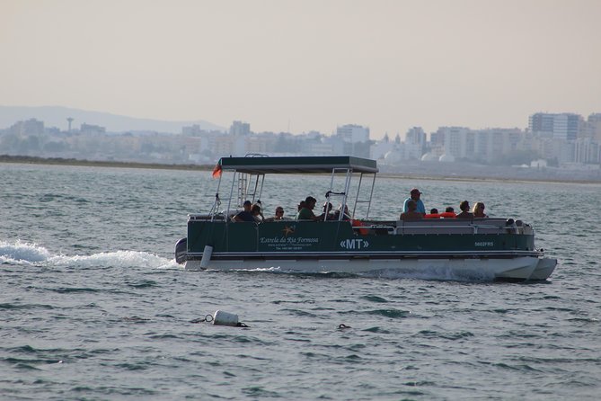 4 Stops | 3 Islands & Ria Formosa Natural Park - From Faro - The catamaran experience: comfort, group size, and how the skipper runs the day