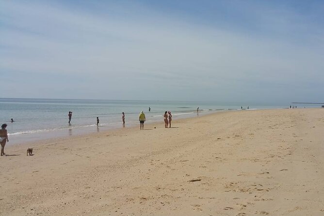 5-hour tour with 3 stops around the islands and beaches of Ria Formosa - Swimming and Beach Relaxation: What to Bring and How to Use the Time