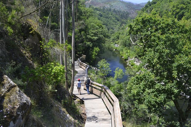 516 Arouca Bridge, Paiva Walkways and Aveiro Tour - Key things to know