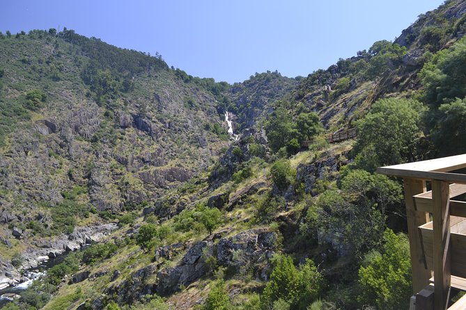 516 Arouca Bridge, Paiva Walkways and Aveiro Tour - Crossing the 516 Arouca Suspension Bridge, 175 meters above the Paiva