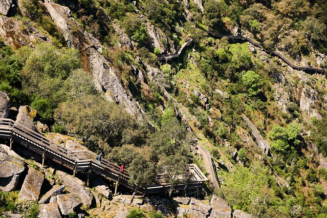 516 Arouca Bridge & Paiva Walkways Tour with Lunch from Porto - Why This Arouca Day Trip Works So Well