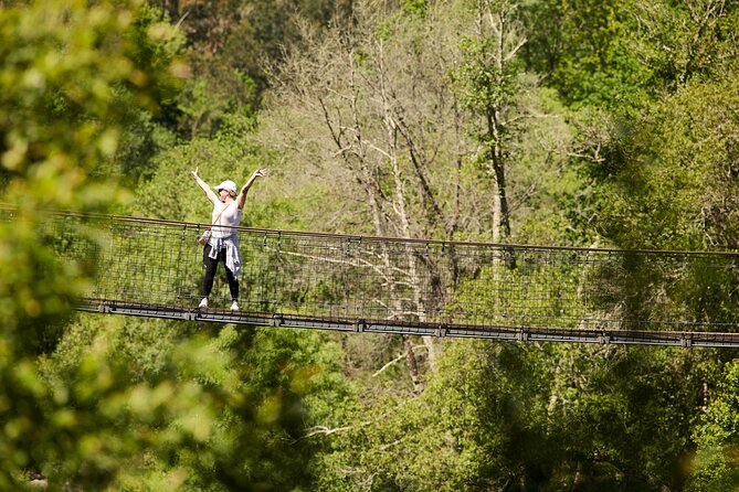 516 Arouca Bridge & Paiva Walkways Tour with Lunch from Porto - What You Get From a Guide (and What to Ask Yourself)