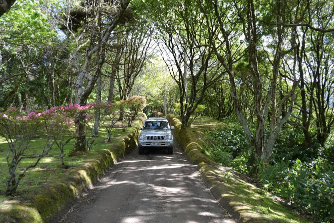 8-Hour Private Tour in 4x4 Vehicle from Ponta Delgada - Key reasons this private 4x4 day works so well