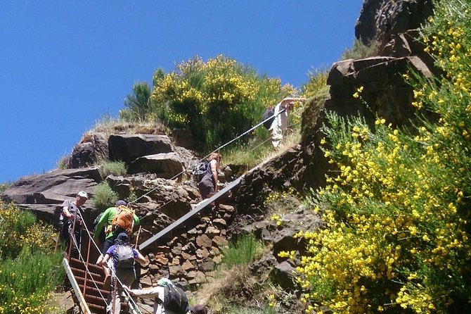 Achadas Teixeira- Pico Ruivo -& Pico pedras/Queimadas forest walk - Your guide is the secret ingredient, from Maria to Elton