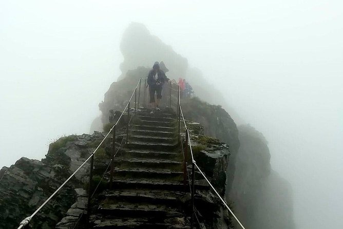 Achadas Teixeira- Pico Ruivo -& Pico pedras/Queimadas forest walk - Forest and levada moments: where the hike slows down