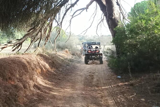 Albufeira 1.5 hour Off-Road Tour Buggy Adventure Tour - Castle of Paderne: The 360º View Break You Will Actually Want