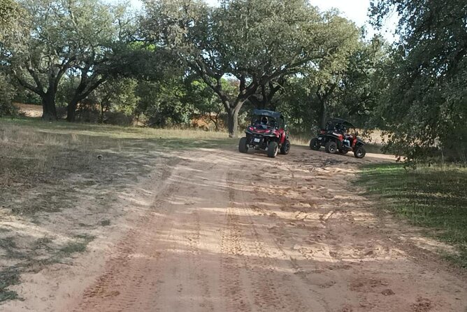 Albufeira 1.5 hour Off-Road Tour Buggy Adventure Tour - Who This Tour Fits Best (And Who Might Want to Skip)