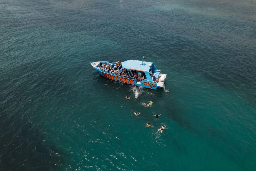 Albufeira: 2.5-Hour Dolphin Watching and Caves Trip - Boat comfort, sea-sickness, and the reality of windy days