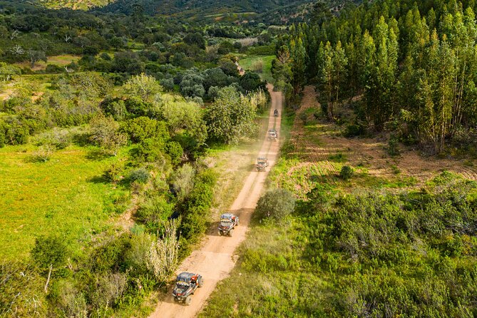 Albufeira: 3-Hour Off-Road Buggy Tour to Hidden Algarve Trails - Stop 2: Paderne area, nature spotting and real Algarve texture