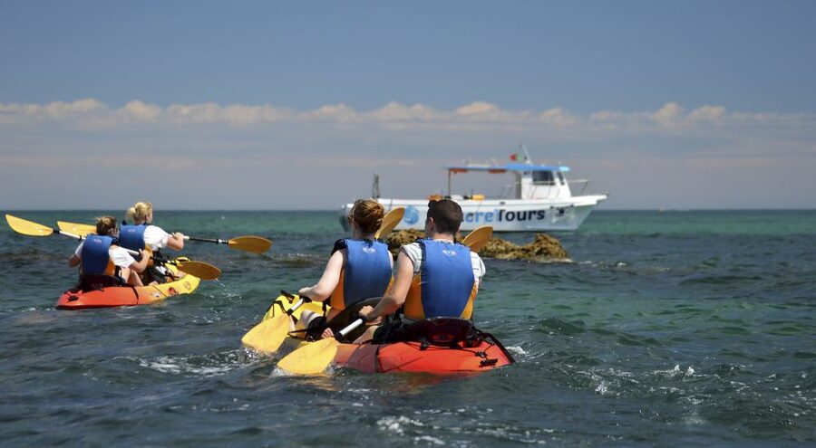 Albufeira: Algarve Kayak and Coastline Tour - Swim breaks that feel like a beach day, not a detour