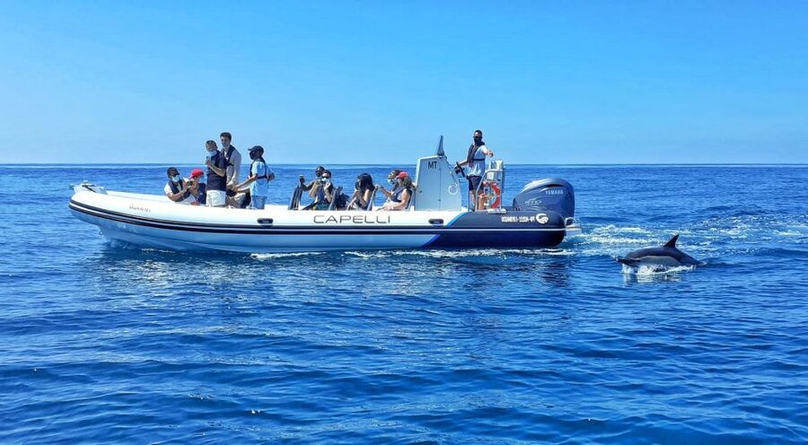 Albufeira: Benagil Cave and Dolphin Sightseeing Boat Cruise - How the Oceaneye speed-boat sets the tone in Albufeira