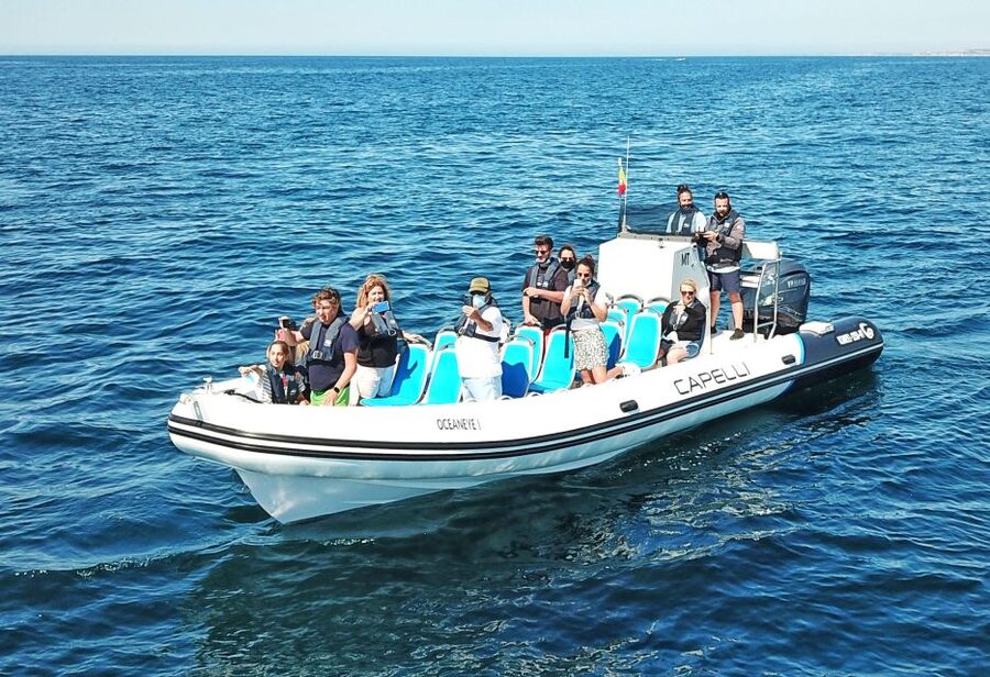 Albufeira: Benagil Cave and Dolphin Sightseeing Boat Cruise - Dolphin spotting after the caves, how to set your expectations