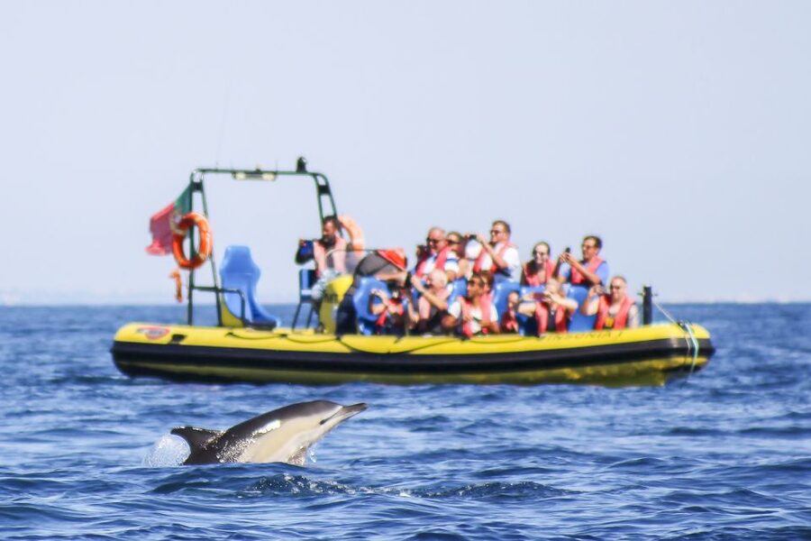 Albufeira: Benagil Caves & Dolphin Watching Speed Boat Tour - Albufeira to Benagil by speedboat, fast and worth it