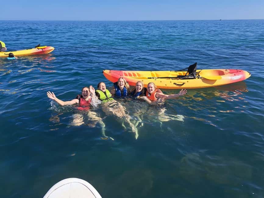 Albufeira: Caves and Cliffs Kayaking Tour - Who this tour suits best, and who should skip it