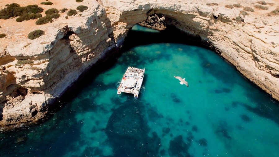 Albufeira: Caves and Coastline Catamaran Cruise to Benagil - Price and who this cruise is best for