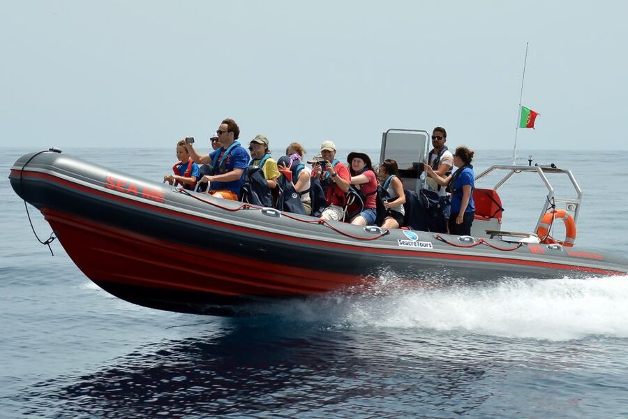 Albufeira: Dolphin Watching and Benagil Cave Boat Cruise - Key Things to Know Before You Go