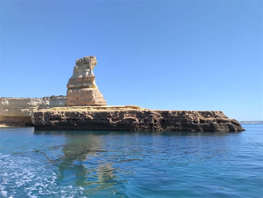 Albufeira: Dolphin Watching and Benagil Cave Boat Cruise - Who Should Book This Dolphin and Benagil Cruise