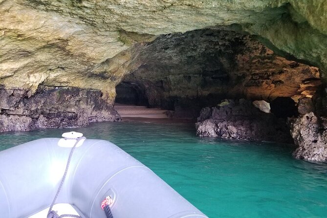 Albufeira: Dolphins and Caves Tour - Dolphin spotting: how the search actually feels on the water