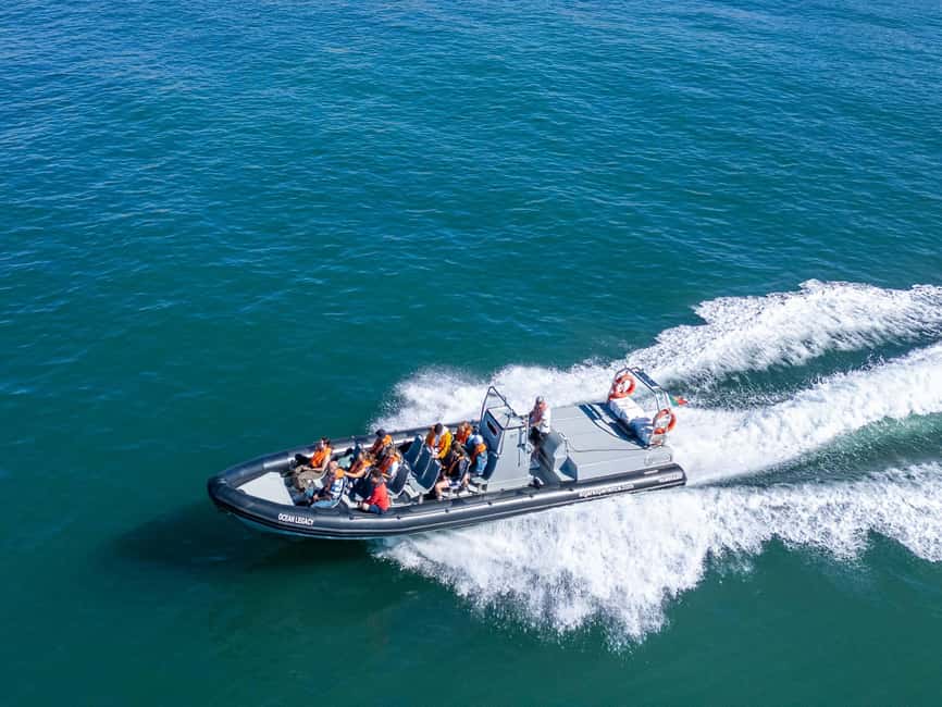 Albufeira: Dolphins, Benagil Caves and Coastline Boat Tour - Key things to know before you go