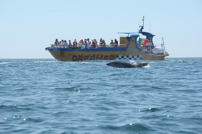 Albufeira Dreamer Boat Trip - Crew and Guidance: What You Get From the People on the Water
