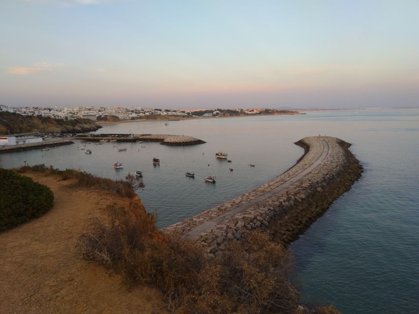 Albufeira: Guided Tour by Tuk-Tuk - Price and value: is $37 fair for a 75-minute guided circuit?